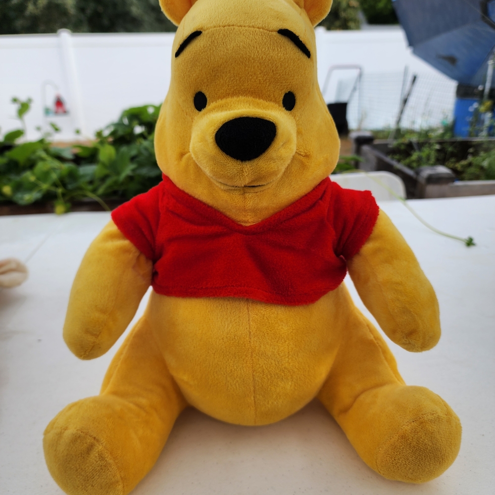 Whinnie The Pooh - Disney Plush Toy